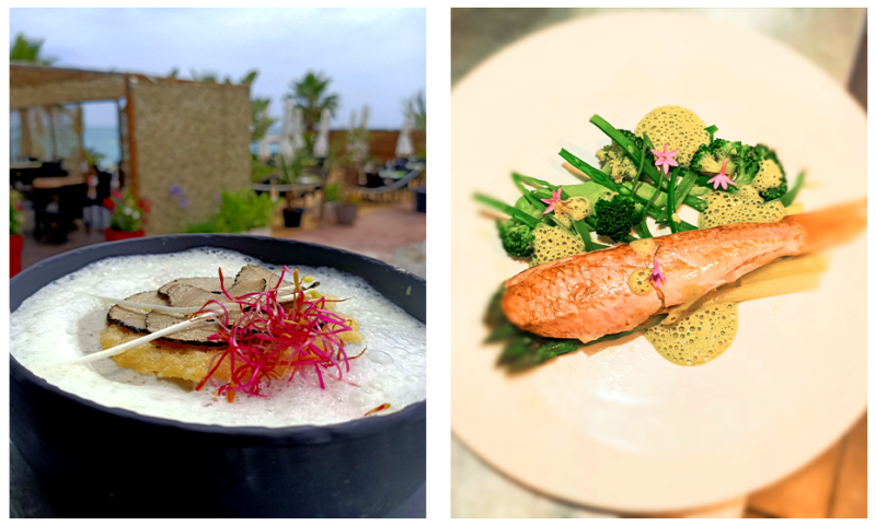 Le restaurant - Chez Josy - Restaurant Villeneuve-Loubet - bon restaurant VILLENEUVE-LOUBET